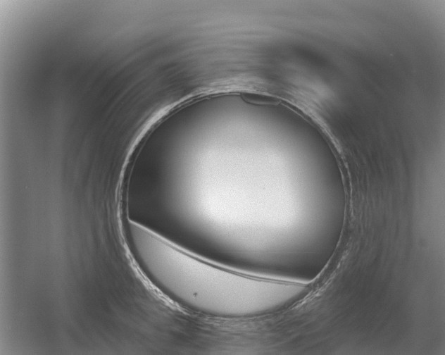 X0000055990949200508190752