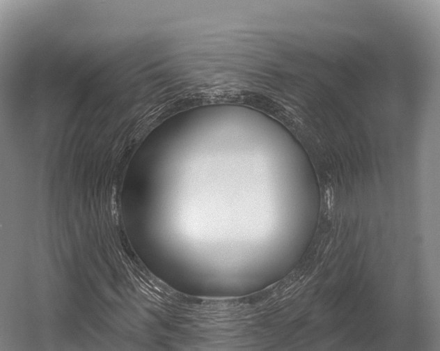 X0000055990963200508190751