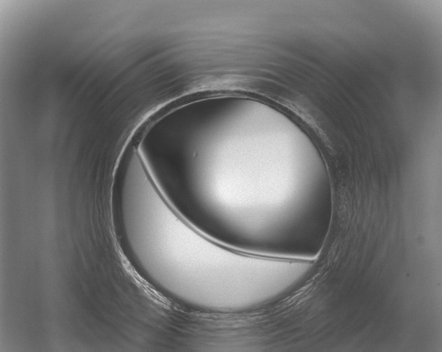 X0000055990980200508190751