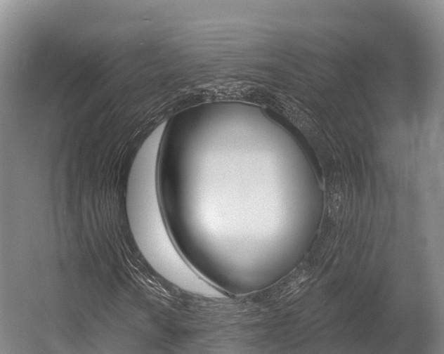 X0000055991010200508190750