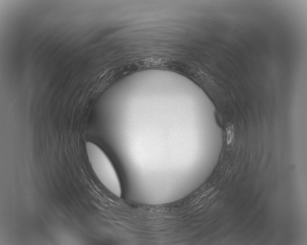 X0000055991011200508190750
