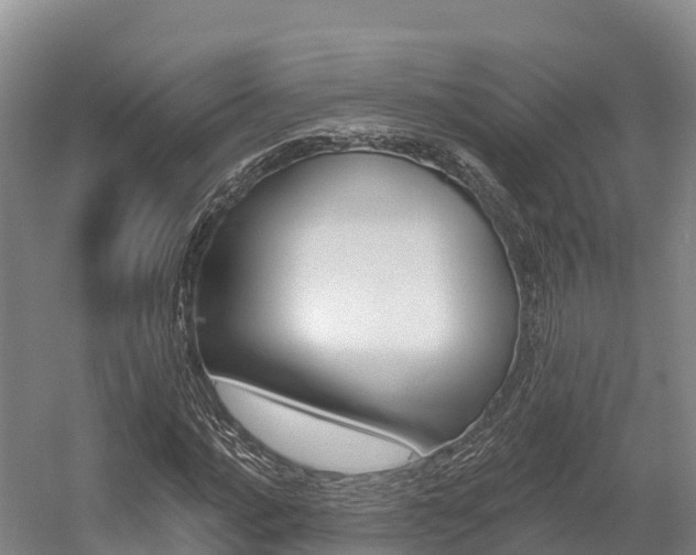 X0000055991016200508190750