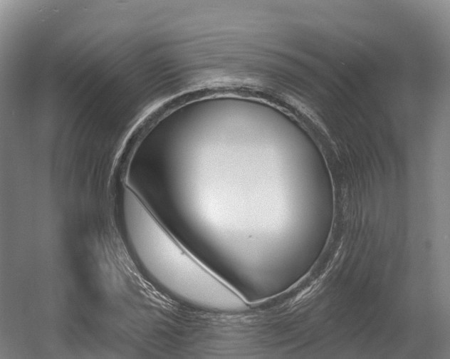 X0000055991021200508190750
