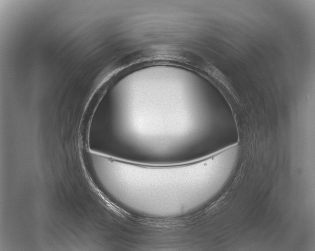 X0000055991024200508190750