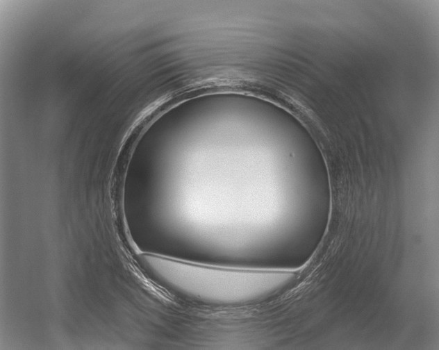 X0000055991026200508190750