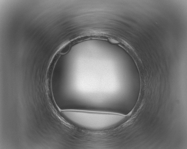 X0000055991029200508190750