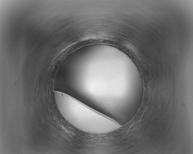 X0000055991064200508190749