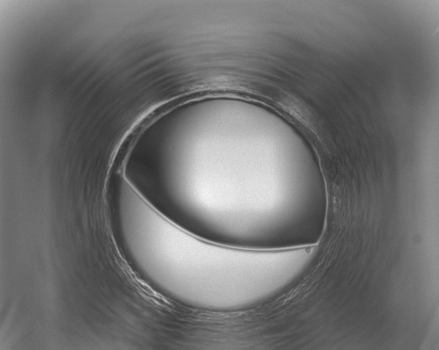 X0000055991068200508190749