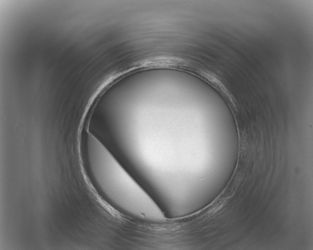 X0000055991083200508190749