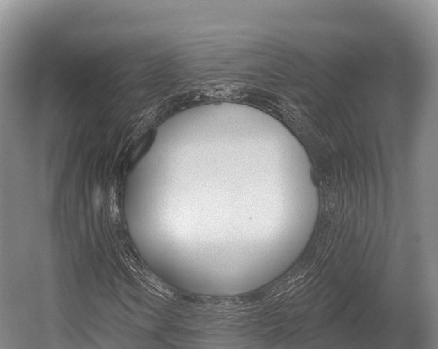 X0000055991106200508190748
