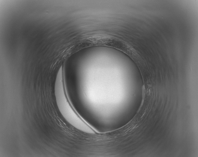 X0000055991108200508190748