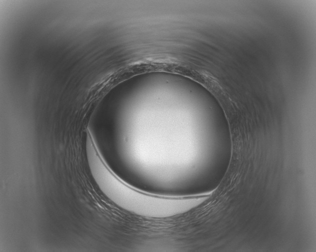 X0000055991110200508190748
