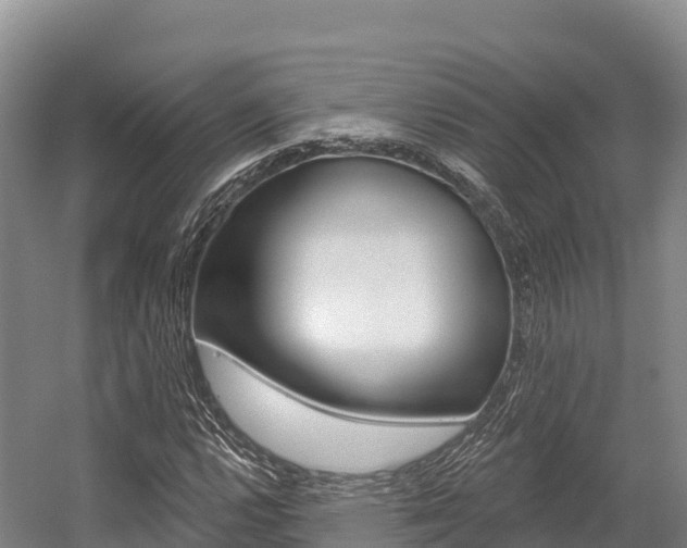 X0000055991112200508190748