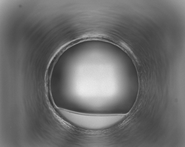 X0000055991124200508190748