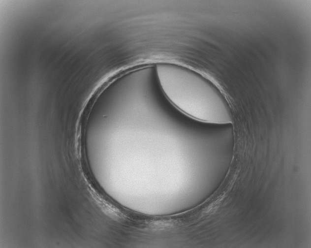 X0000055991126200508190748