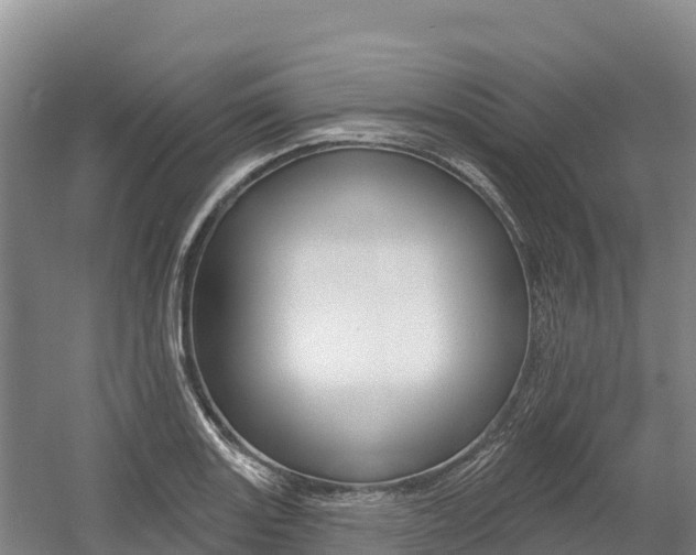 X0000055991131200508190748
