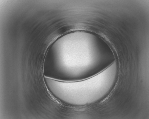 X0000055991137200508190748