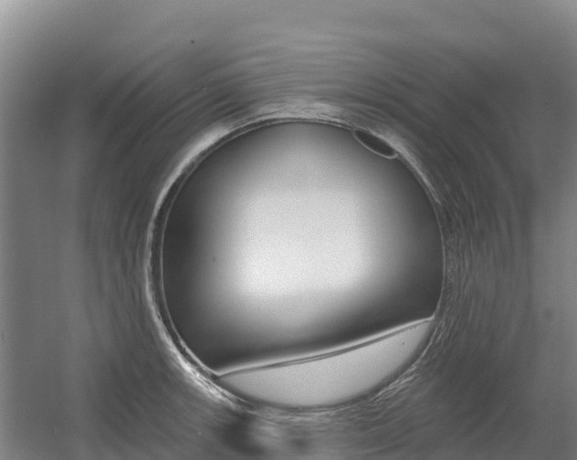 X0000055991139200508190748