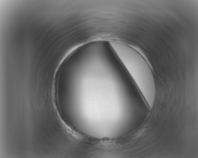 X0000055991147200508190749