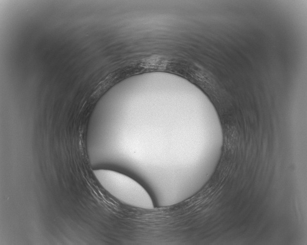 X0000055991154200508190748