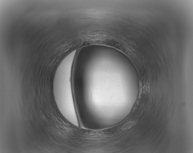 X0000055991156200508190748