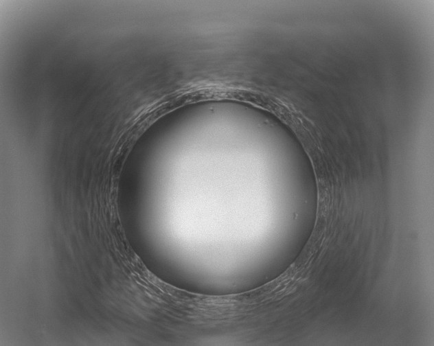 X0000055991157200508190748