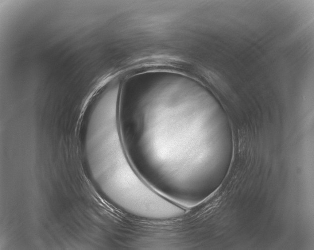 X0000055991164200508190748
