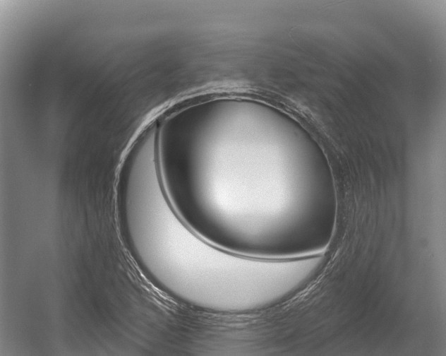 X0000055991168200508190748