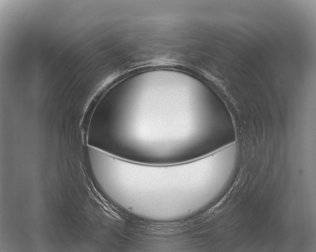 X0000055991171200508190748