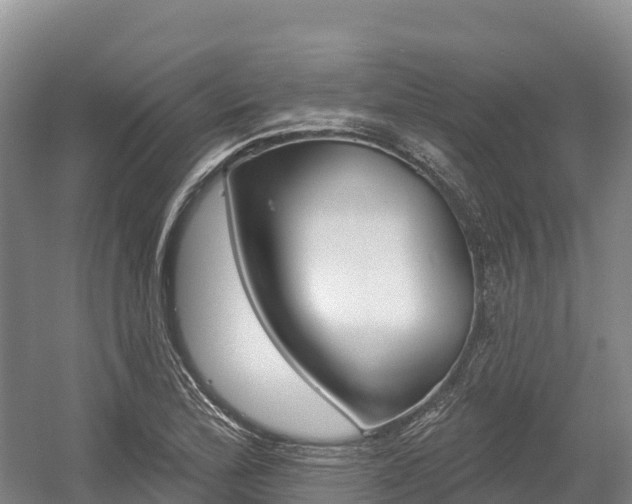 X0000055991172200508190748
