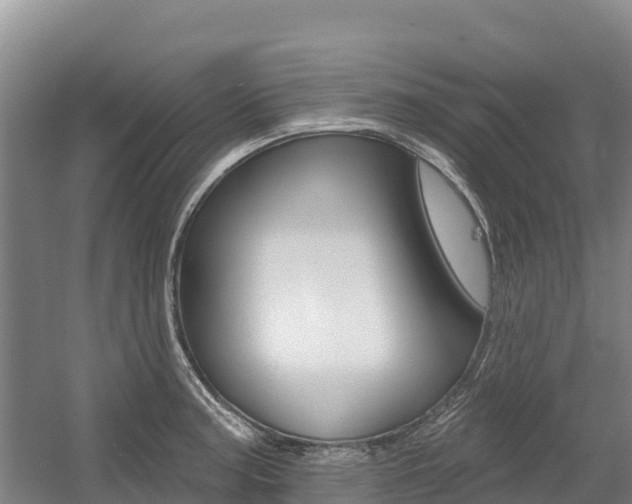X0000055991187200508190747