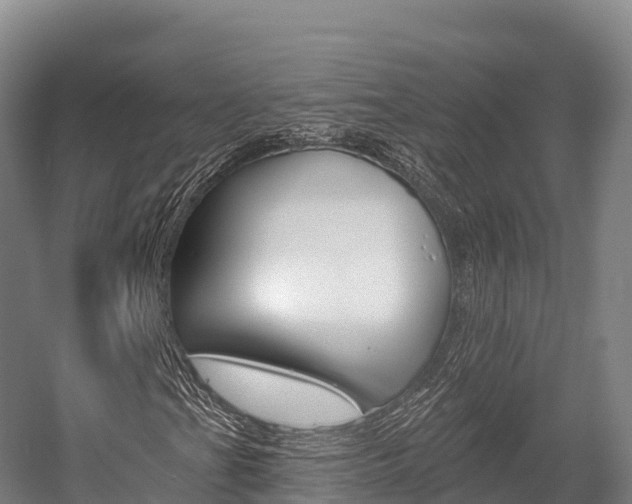 X0000055991201200508190746