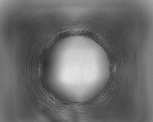 X0000055991204200508190746