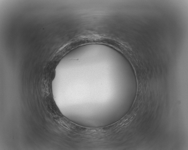 X0000055991205200508190746