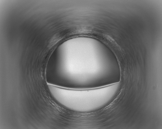 X0000055991209200508190746