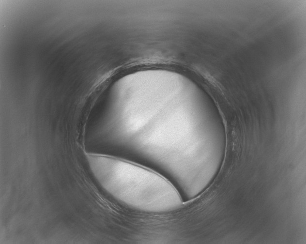 X0000055991213200508190746