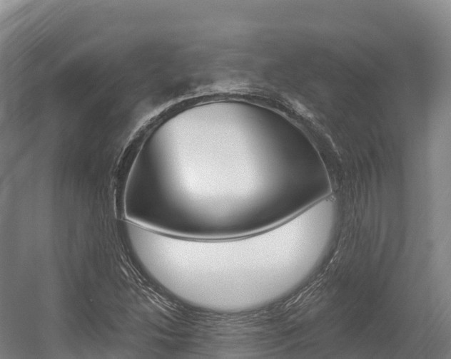 X0000055991214200508190746