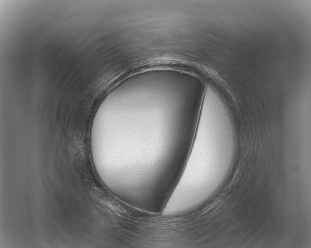 X0000055991217200508190747