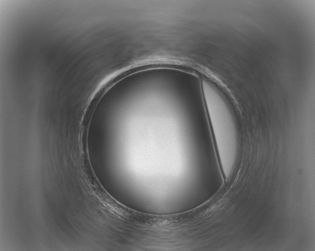X0000055991222200508190747