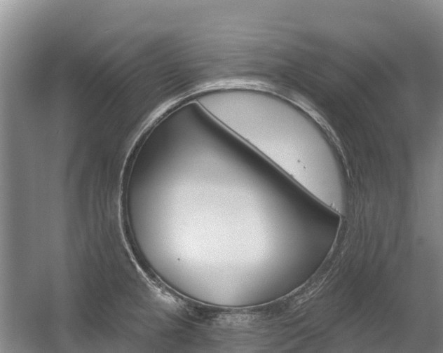 X0000055991237200508190747