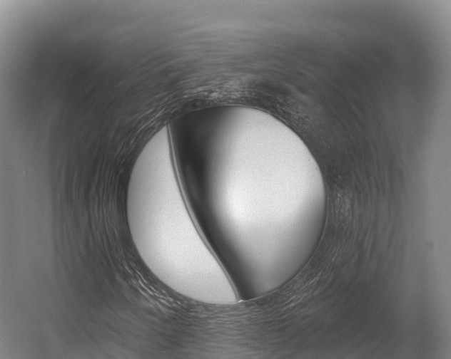 X0000055991250200508190746