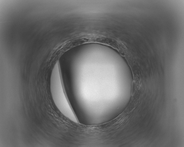 X0000055991253200508190746