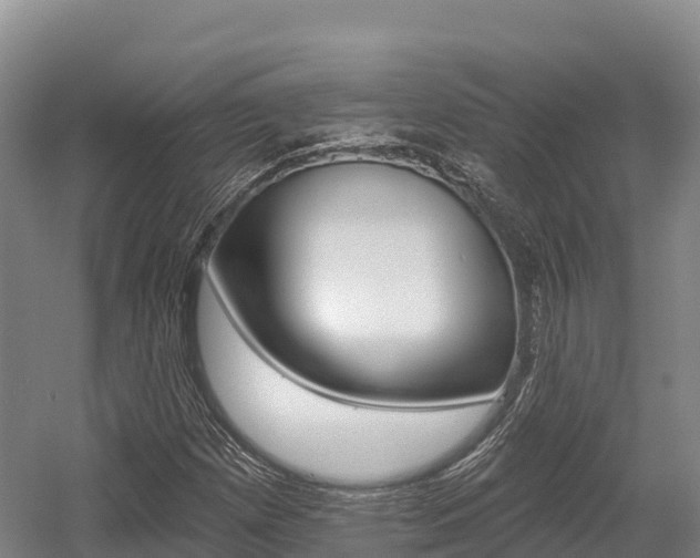 X0000055991257200508190746