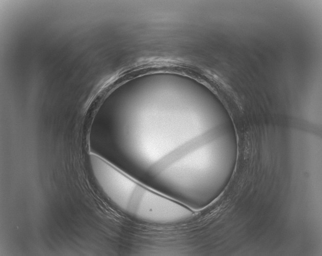 X0000055991261200508190746