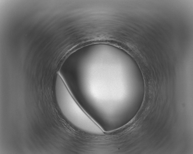 X0000055991265200508190746