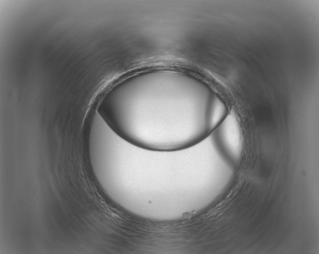 X0000055991267200508190746
