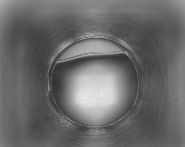 X0000055991269200508190746