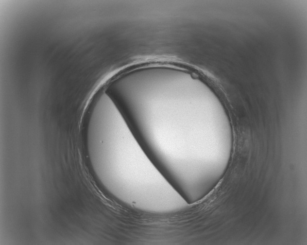 X0000055991271200508190746