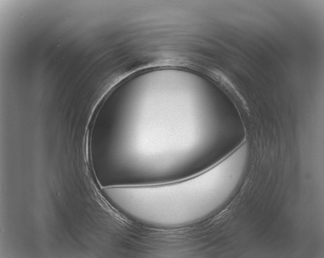X0000055991276200508190746