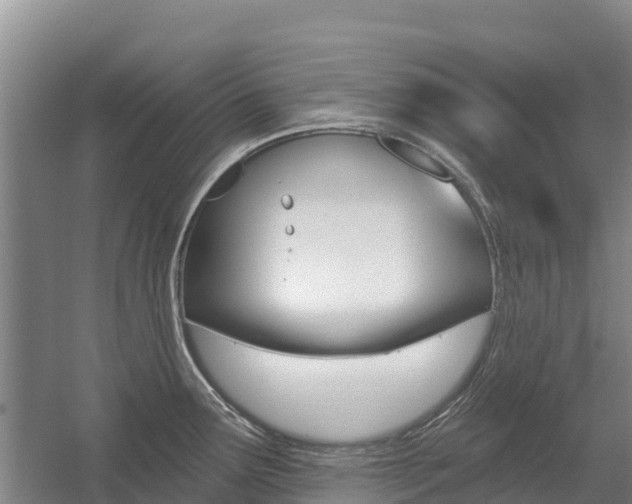 X0000055991291200508190746